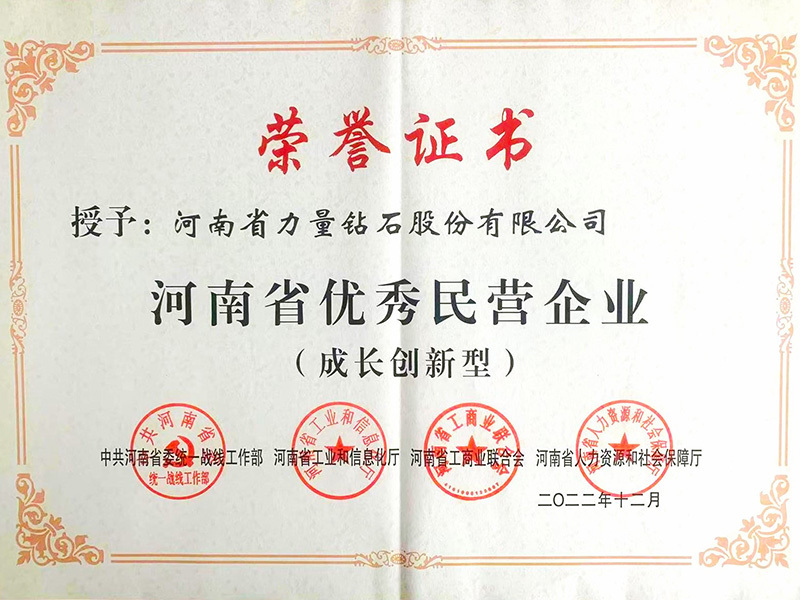 Doanh nghiệp tư nhân xuất sắc tỉnh Hà Nam